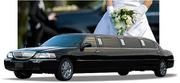 Orlando Wedding  Limousine  Services