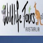 Wildlife Tours