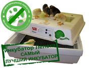 Leleka egg incubators - www.incubator-ck.com