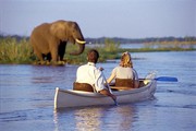 AGAMA TOURS AND SAFARIS