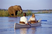 AGAMA TOURS AND SAFARIS