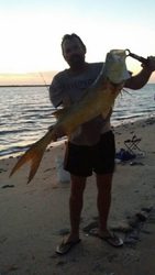 Jason with a big King Salmon. And the Barra are running. Great catch J