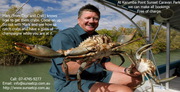 Mud Crabs Direct is run by Mark and Julianne Grunske