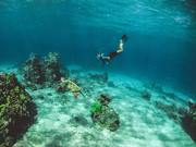 Captain cook snorkeling