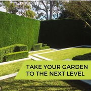  Professional Turf Installation Brisbane