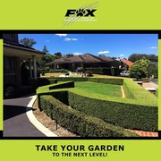  Tree Trimming Services In Brisbane