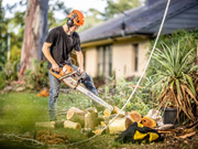 Dead wood removal Adelaide 