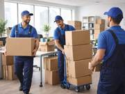 Professional Removalists Albion | Stress-Free Moving Experts