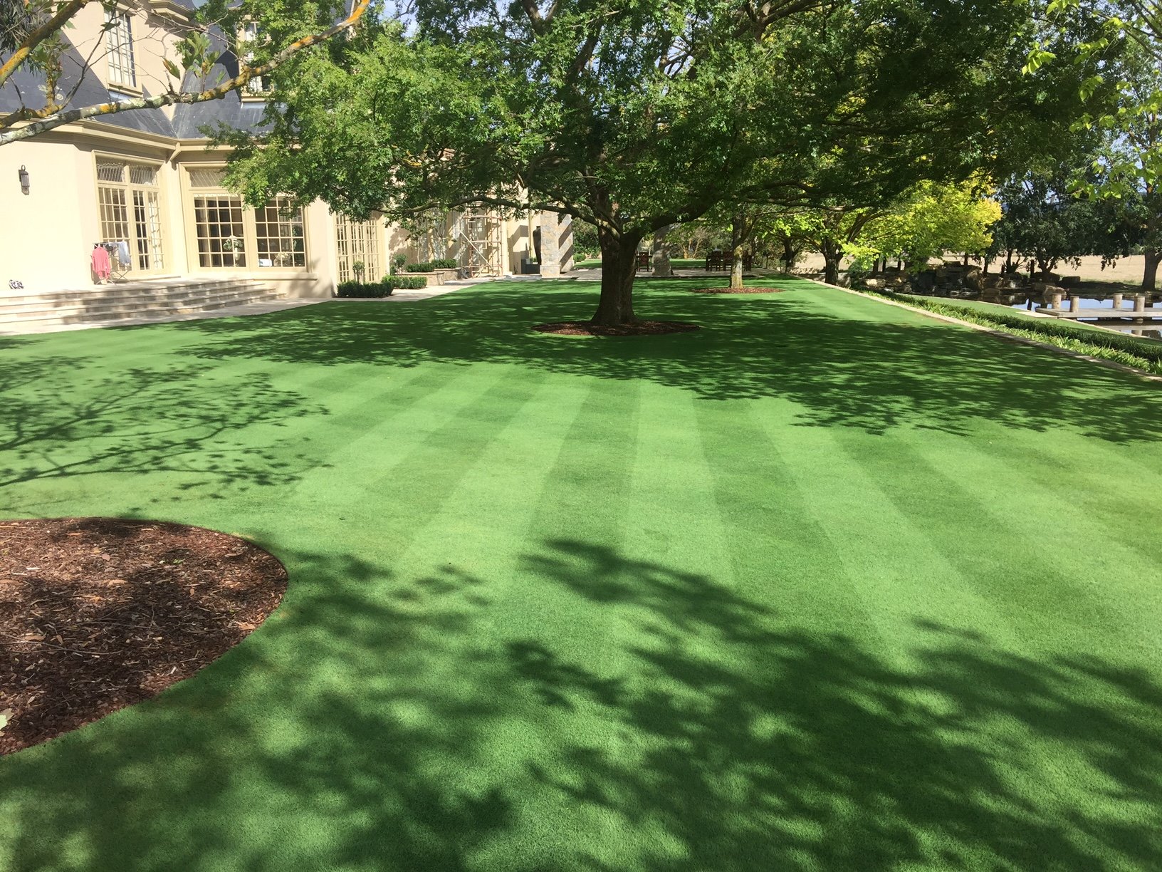 Instant Turf